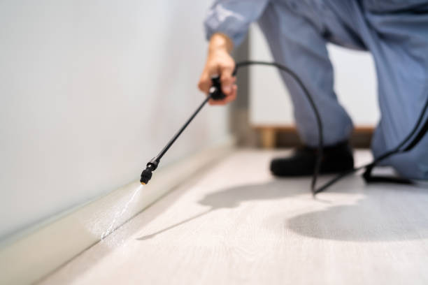 Licensed Termite Control service in Stony Point, MI - Show Me Pest Control